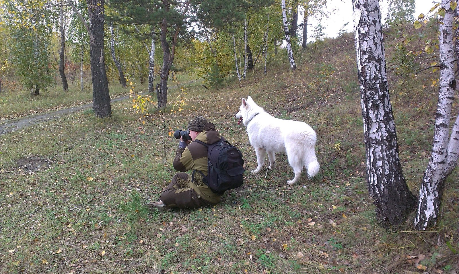 Житие овчарки по имени Цезарь. Очень длиннопост. - Моё, Собака, Белая Швейцарская овчарка, Длиннопост, Фотография, Животные, Семья