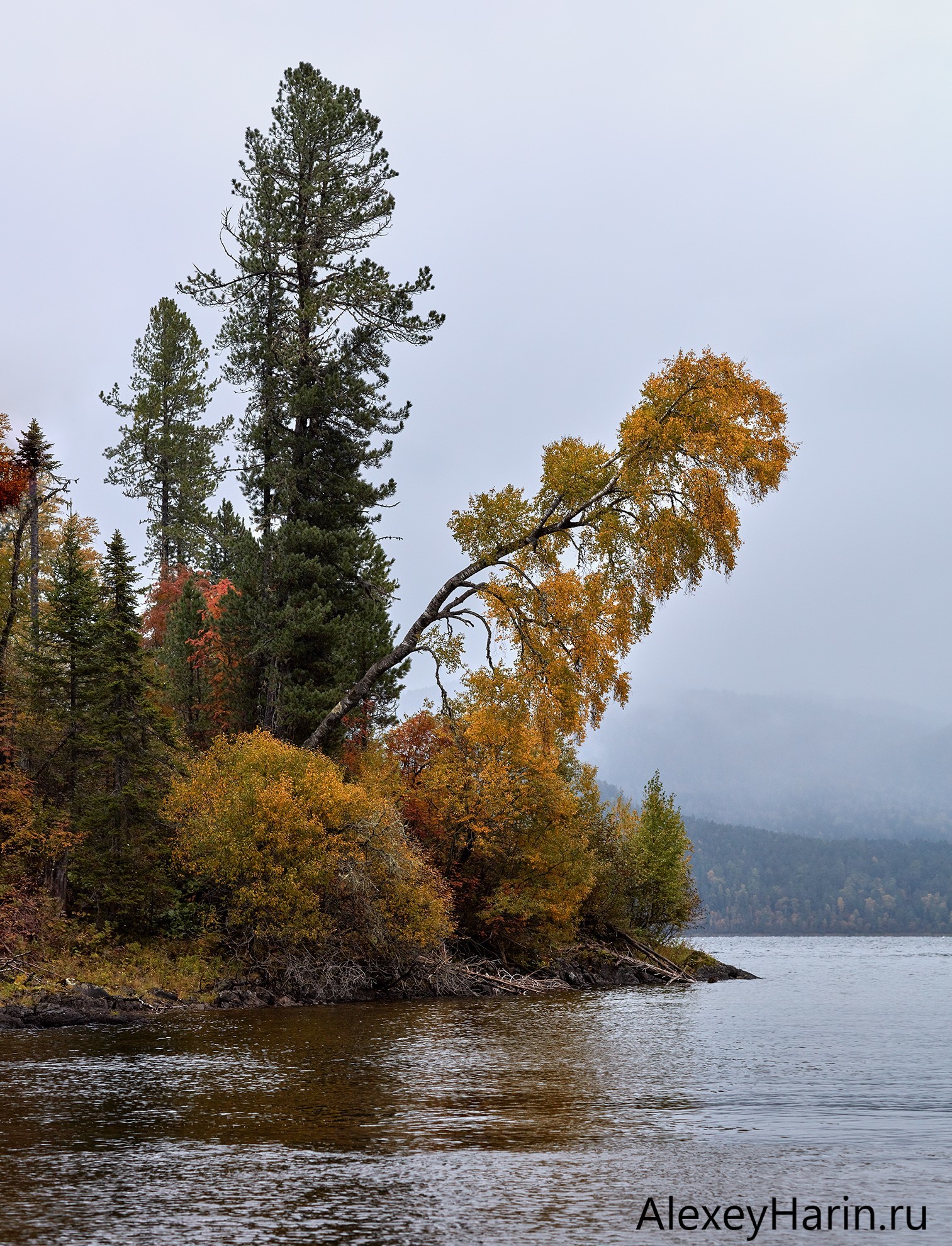 Autumn fog - My, Mountain Altai, Teletskoe lake, Autumn, Water, Fog, The photo, Altai Republic