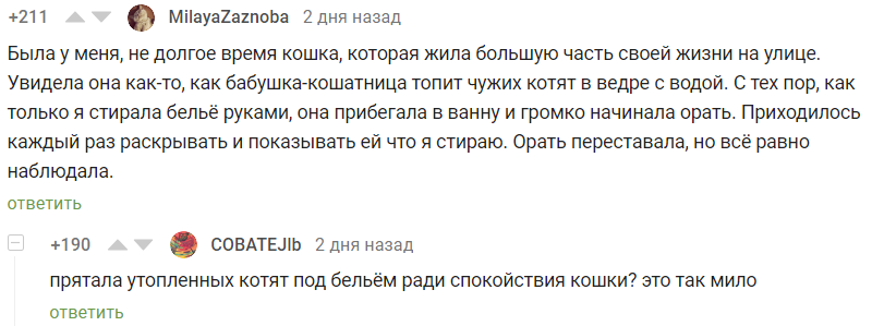 Милота - Комментарии, Комментарии на Пикабу, Скриншот, Кот, Котята, Вода, Черный юмор