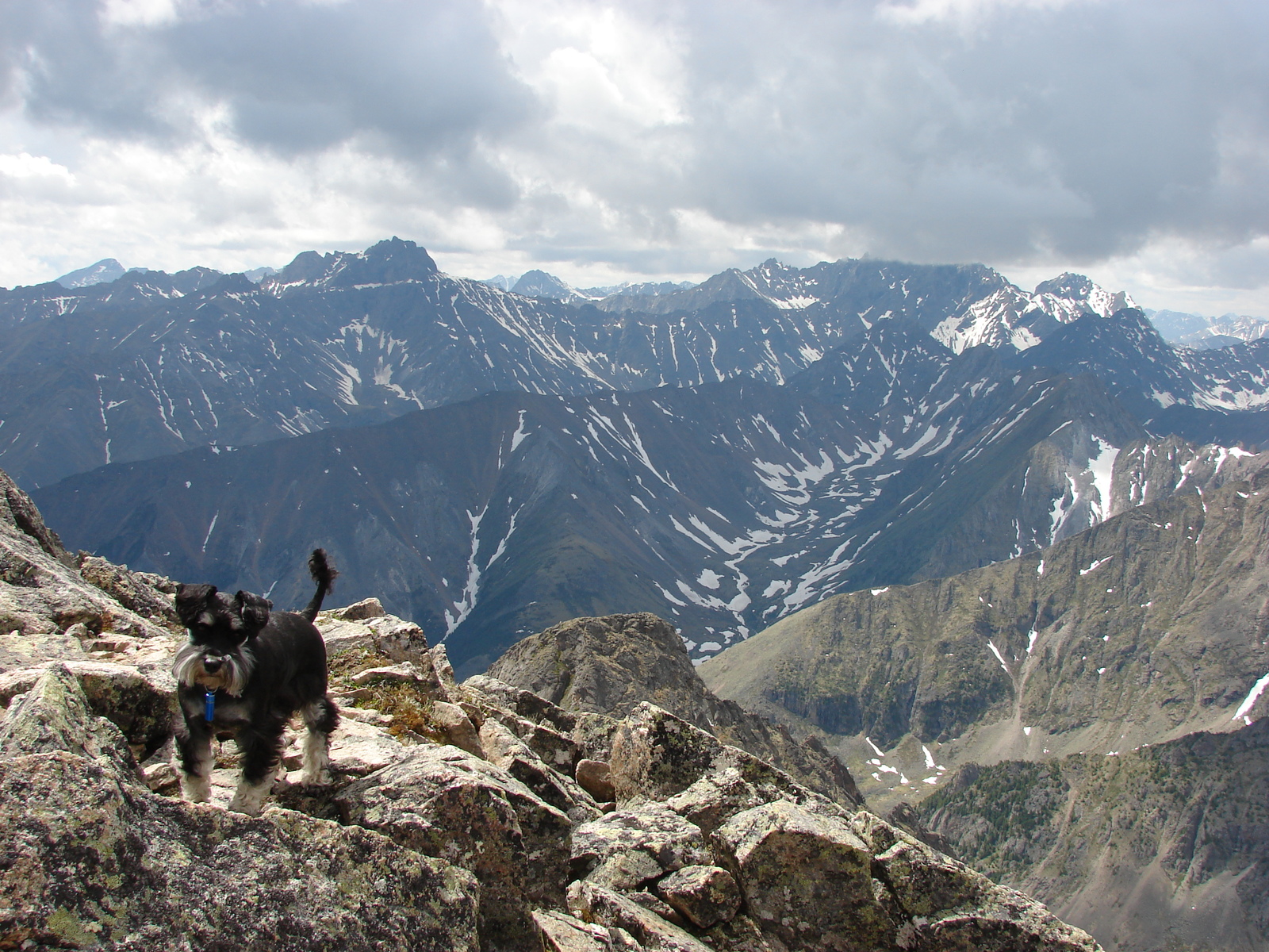 Walking dog. - My, Hike, The mountains, Dog, Friend, PHOTOSESSION, Longpost