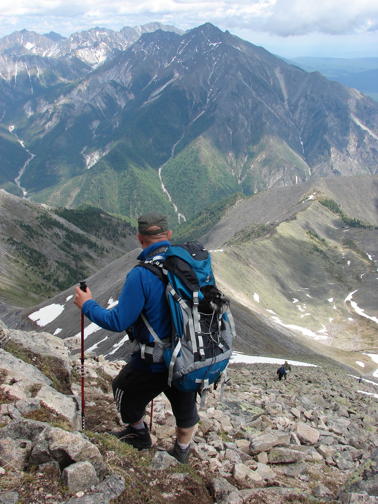 Walking dog. - My, Hike, The mountains, Dog, Friend, PHOTOSESSION, Longpost