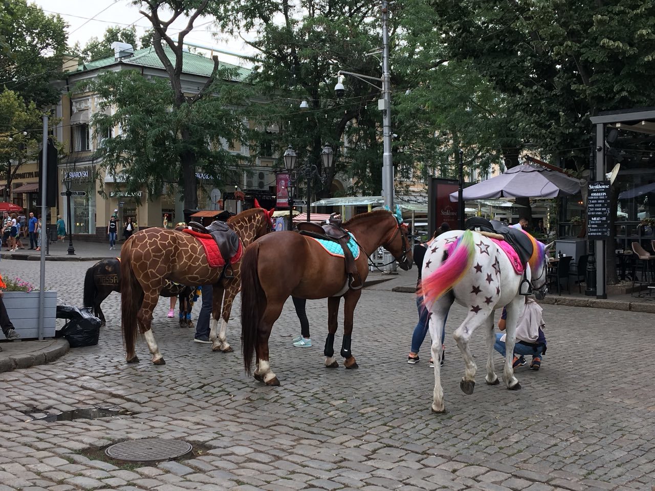 Some strange horse... in the middle - Odessa, Horses