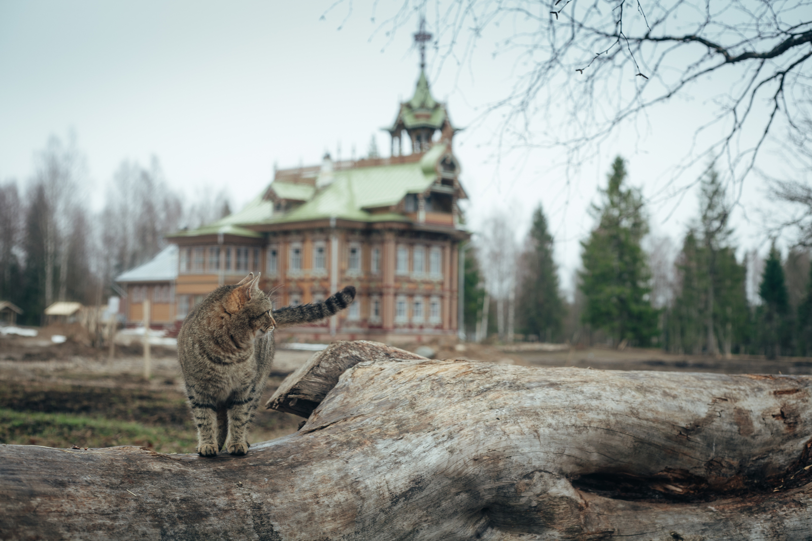 Чухломы пост №2 (Терем в деревне Осташево) - Моё, Путешествия, Путешествие по России, Приключения, Природа, Железная Дорога, Чухлома, Видео, Длиннопост