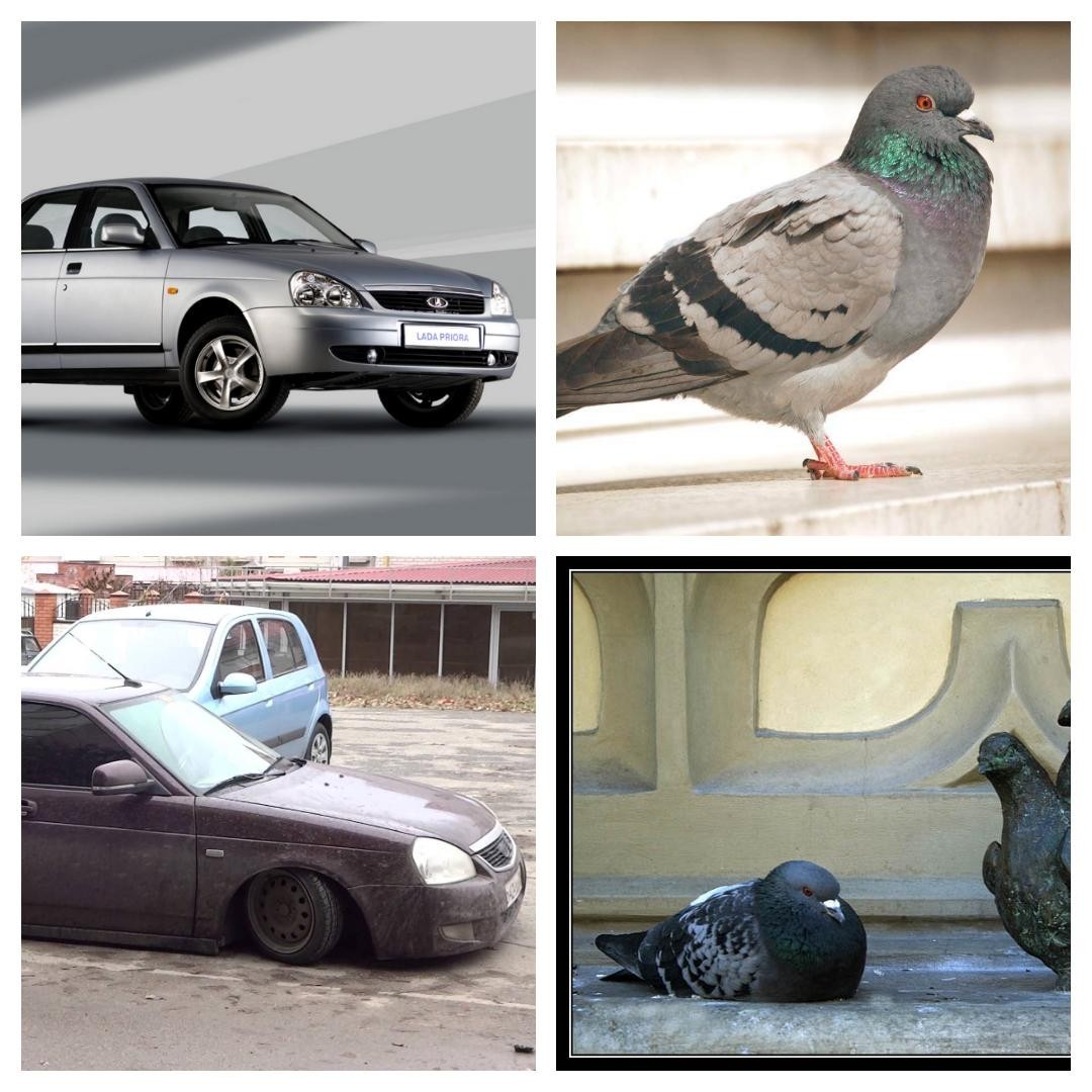 Вчера увидел заниженную приору и заниженного голубя. | Пикабу