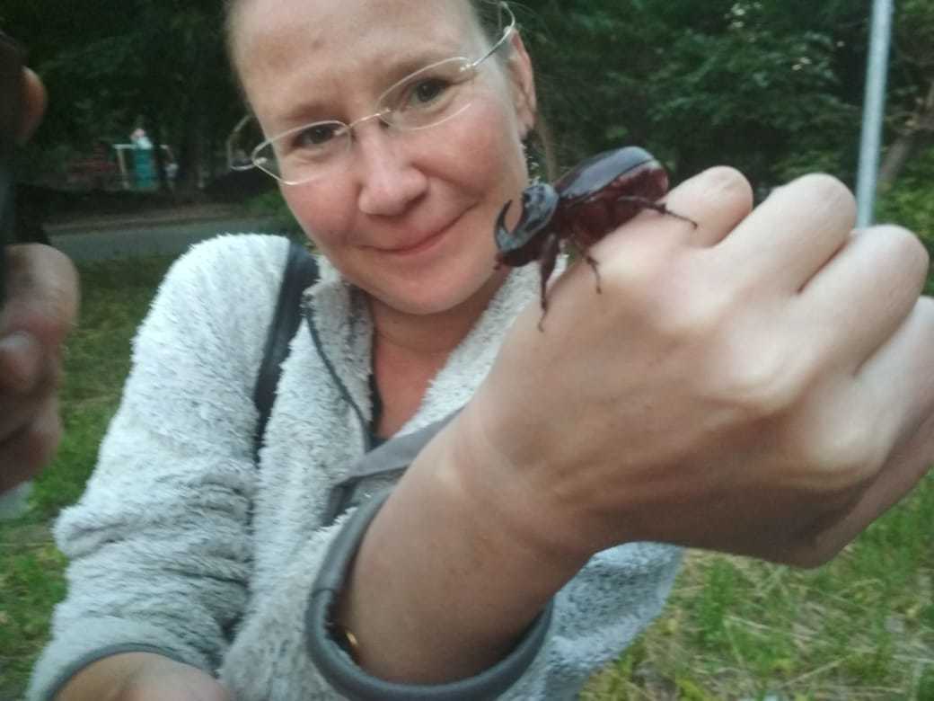 Who is on us with a rhinoceros? - My, Rhinoceros beetle, Moscow, The rescue, Longpost, Insects