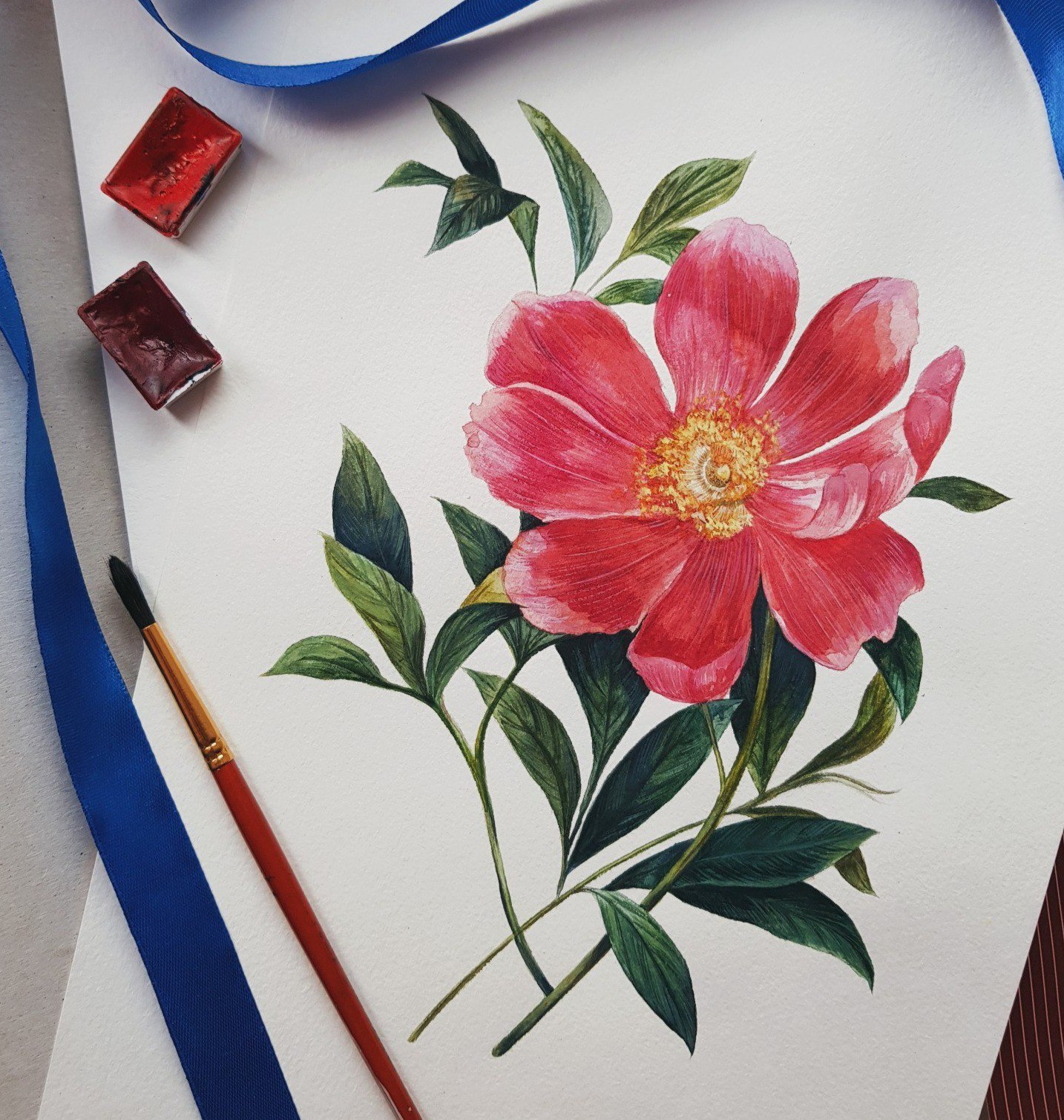 Paeonia officinalis - My, Flowers, Watercolor, Botanical illustration, Peonies, League of Artists, Longpost