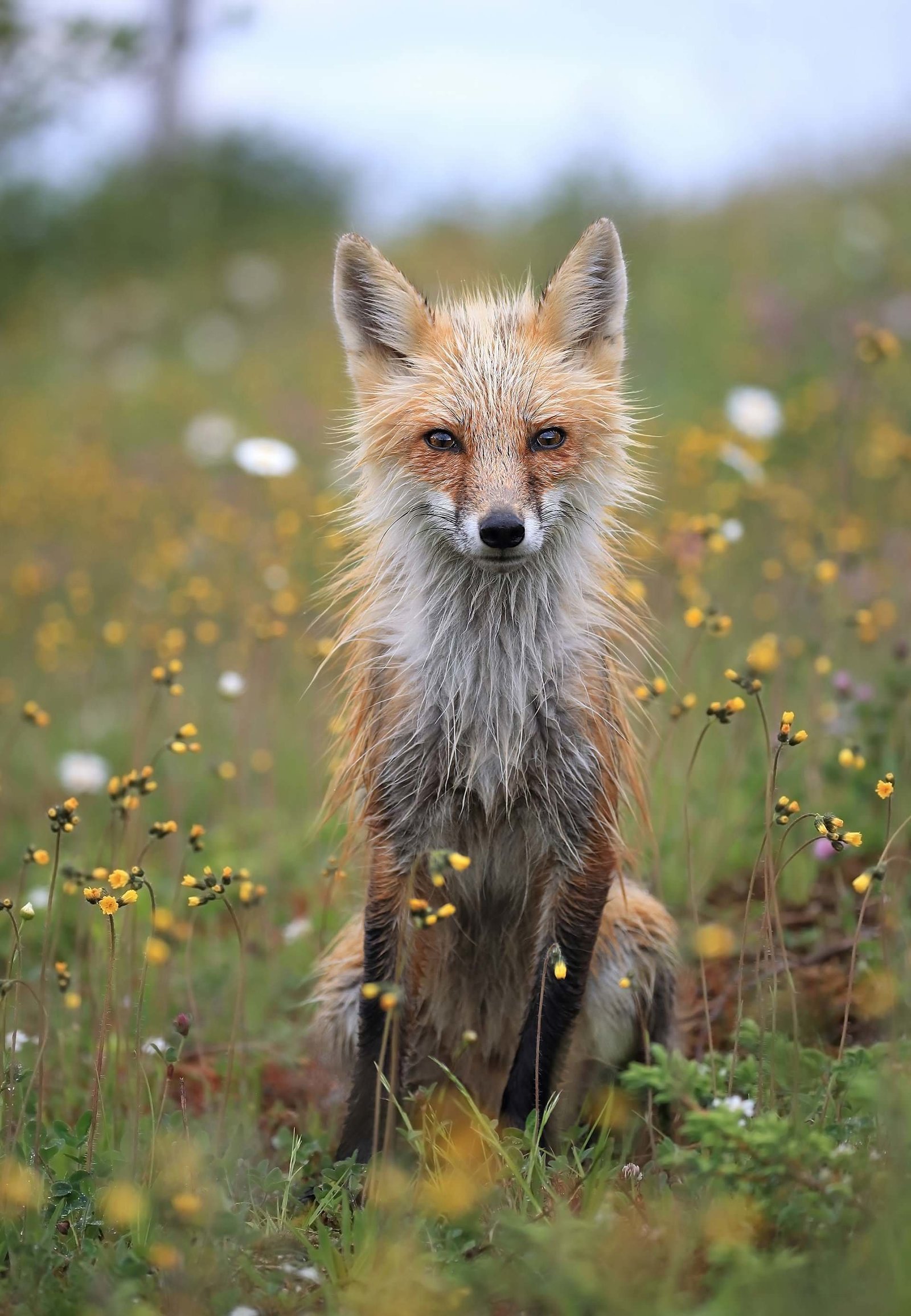 The Nature Conservancy Photo Contest Winners - The photo, Competition, , Longpost