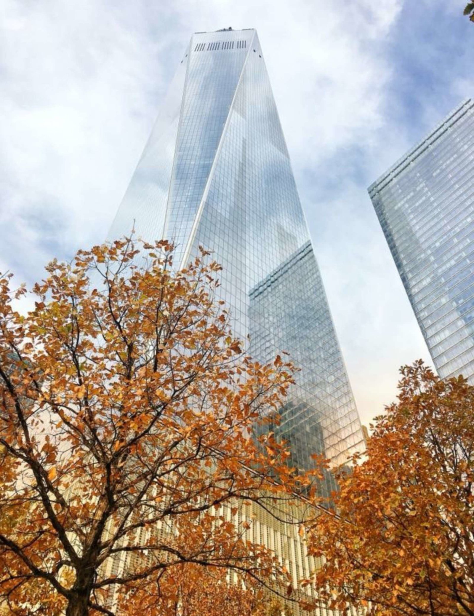 The Nature Conservancy Photo Contest Winners - The photo, Competition, , Longpost