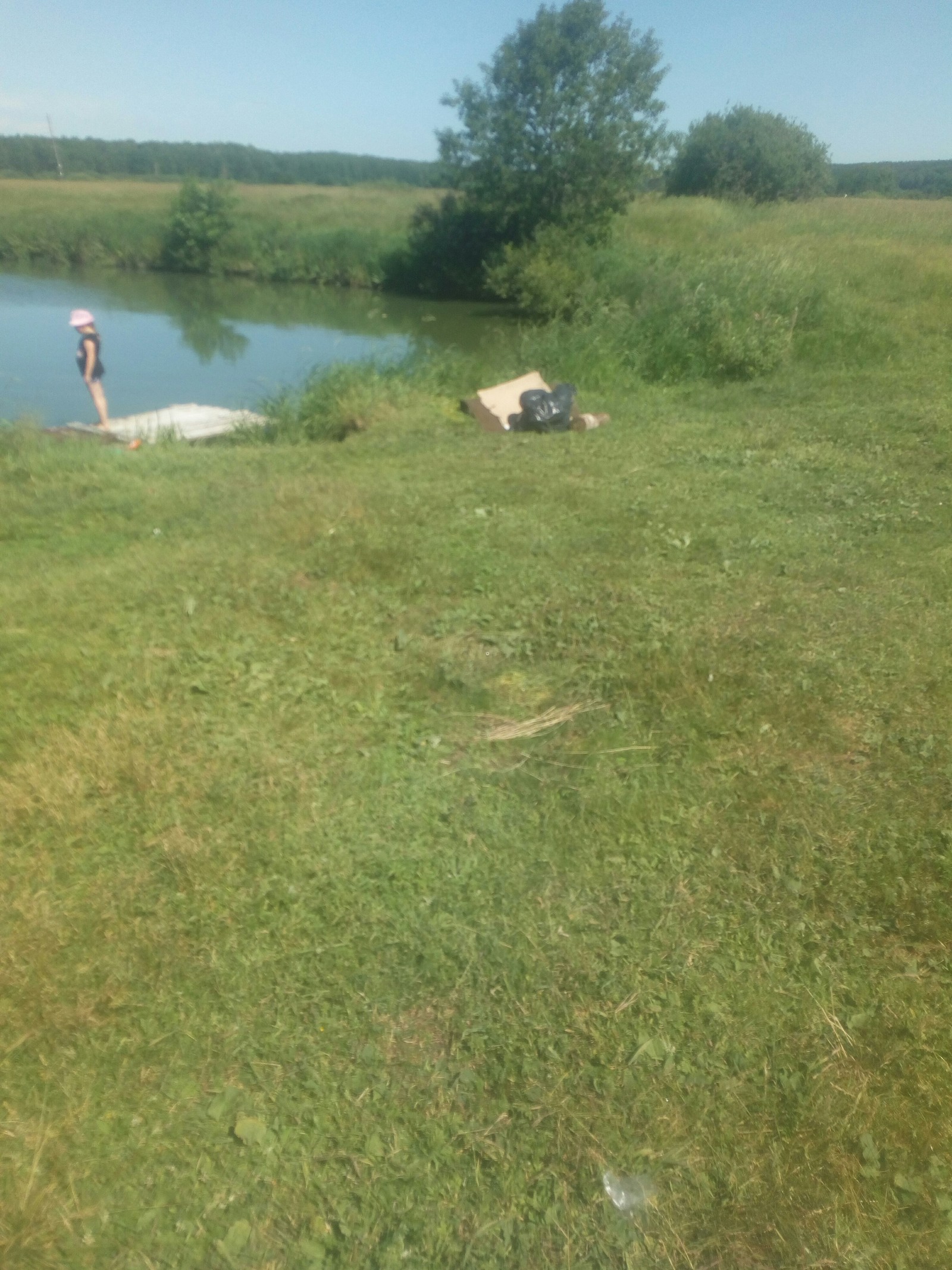 A little about cleanliness and pigs - Nizhny Novgorod Region, Cleaning, Pure Man's League, Summer, Longpost