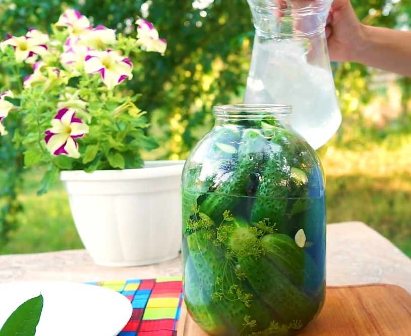 Crispy salted cucumbers in a jar - My, Video recipe, Lightly salted cucumbers, , Video, Longpost