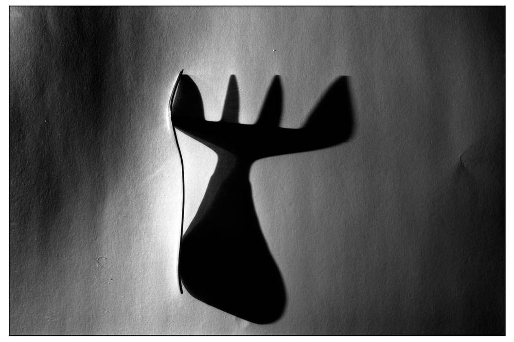 Shadow and its object - My, Still life, Shadow, The photo