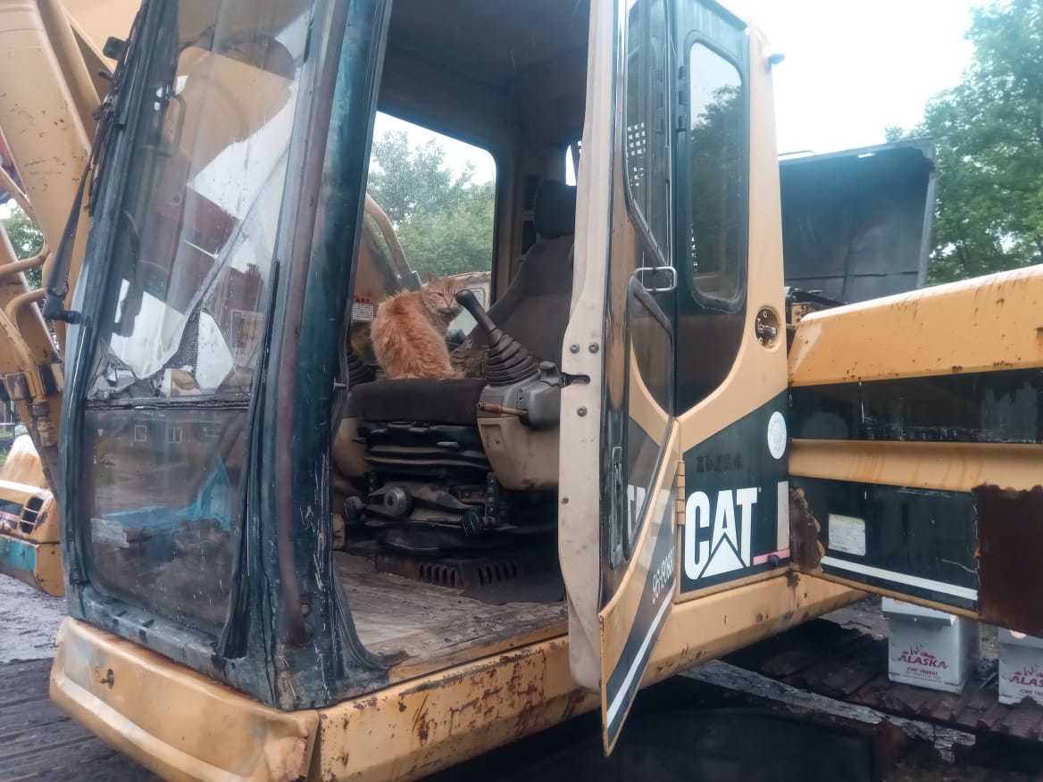 Cat - My, cat, Excavator