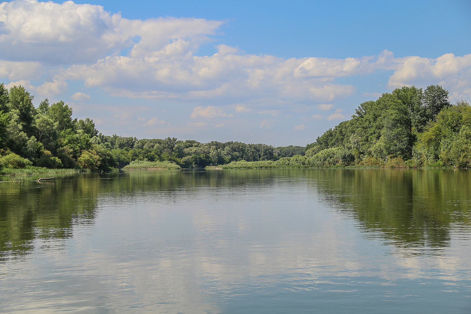 A bit of the Ural River in your feed - My, Ural, River, Alloy, Nature, Animals, Longpost