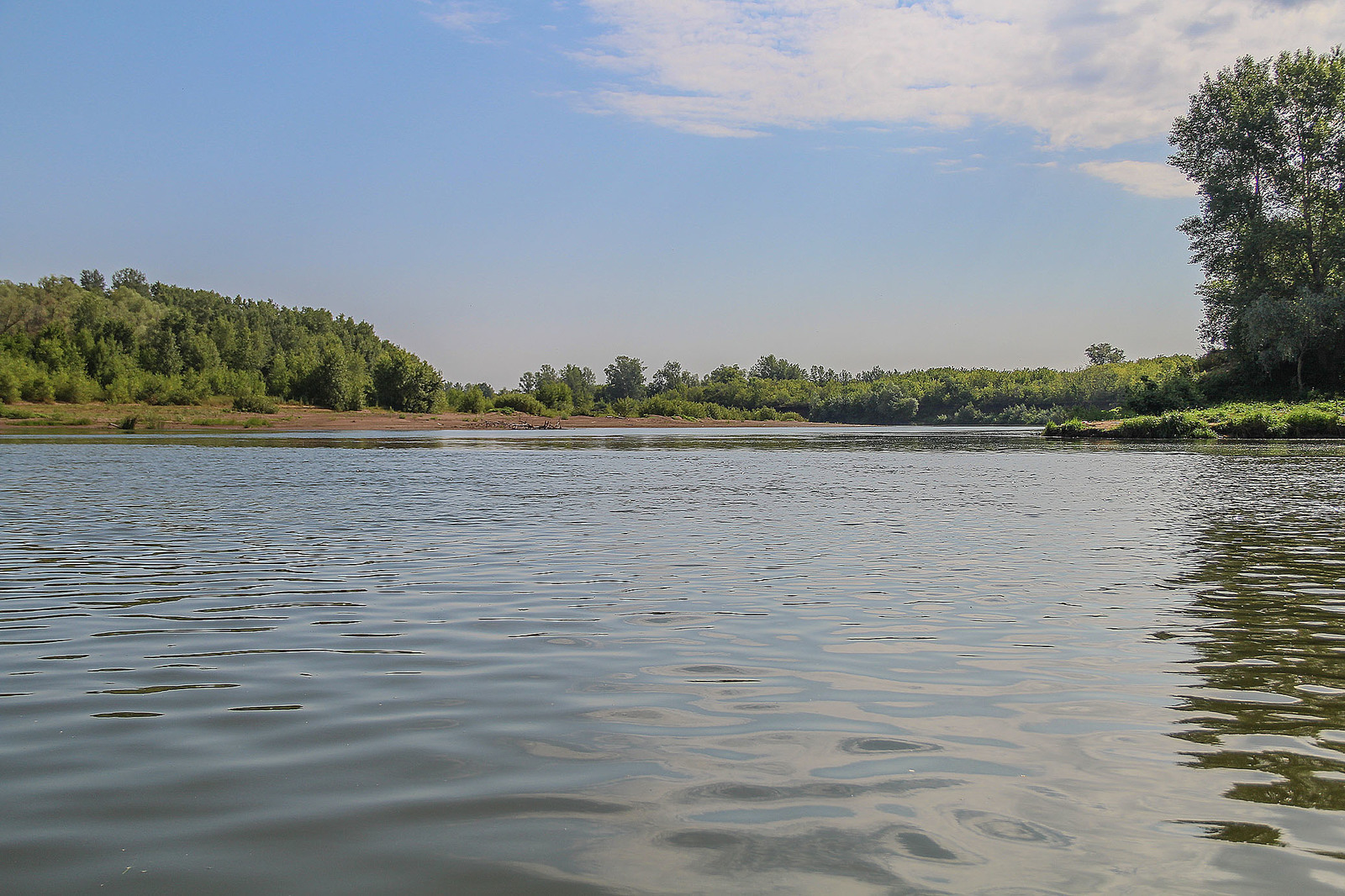 A bit of the Ural River in your feed - My, Ural, River, Alloy, Nature, Animals, Longpost