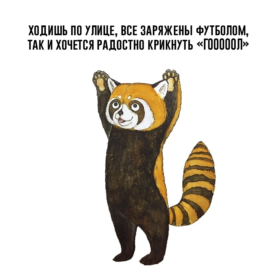 О наболевшем
 - Чемпионат мира, Футбол, Панда, Пенсия, НДС, Налоги, Деньги, Длиннопост