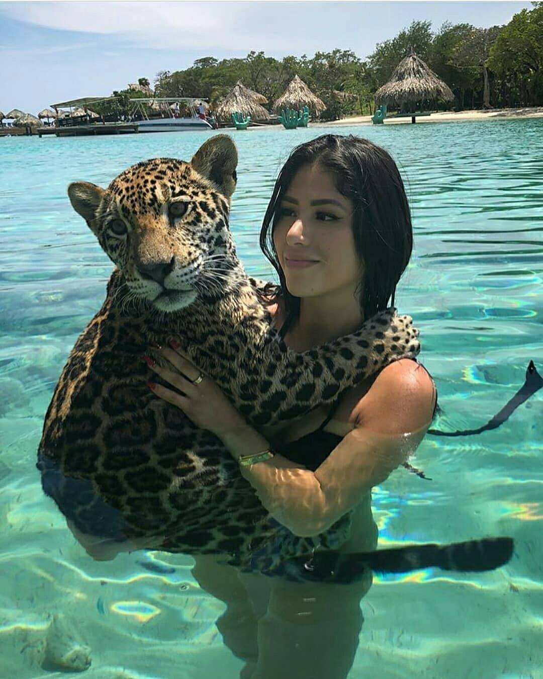 Bathing a jaguar - The photo, Jaguar, Longpost, Beautiful girl