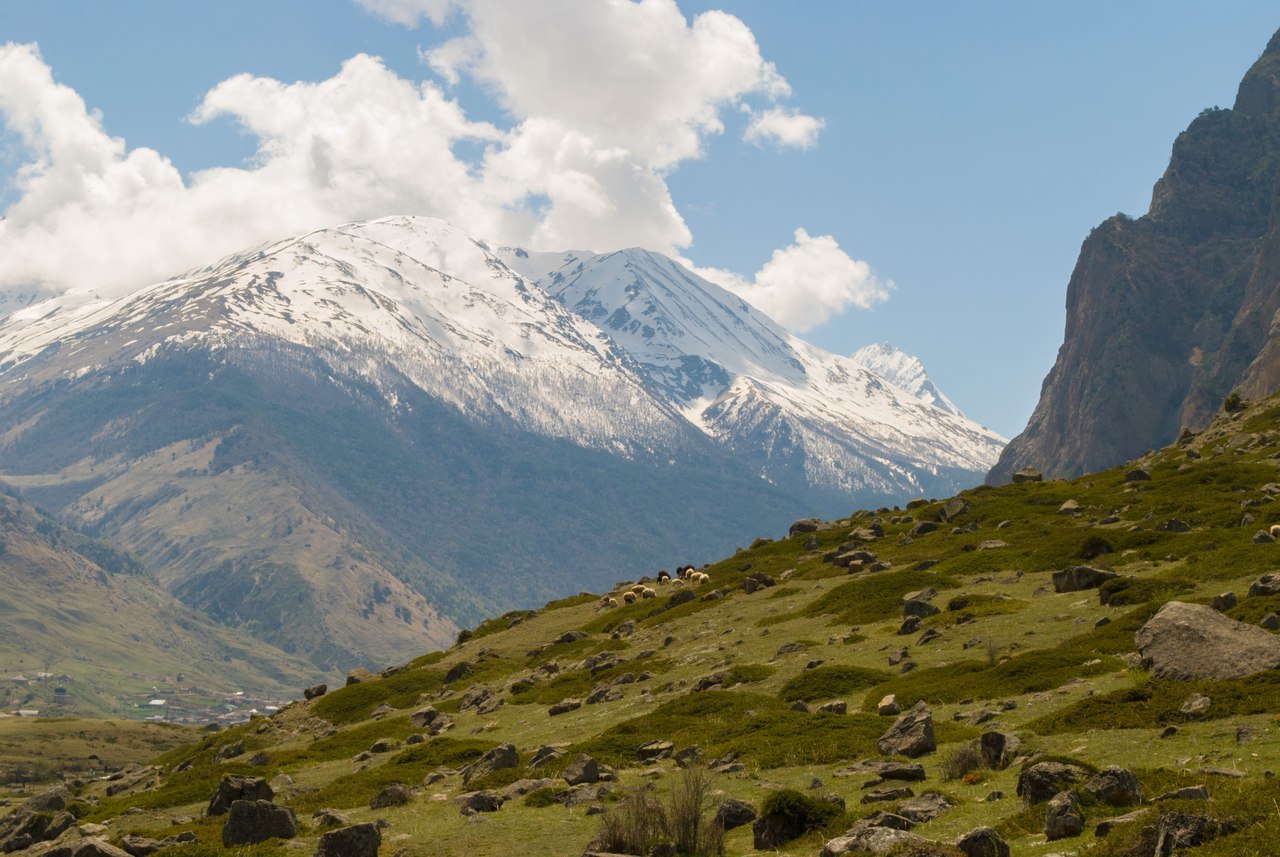 Kabardino-Balkaria. - My, Kabardino-Balkaria, The mountains, The photo, Nature, Rams