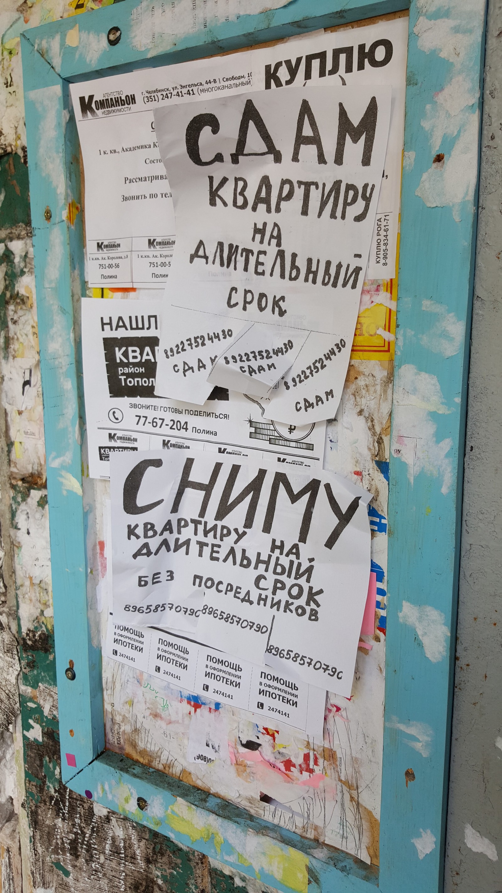 Объявления возле подъезда | Пикабу