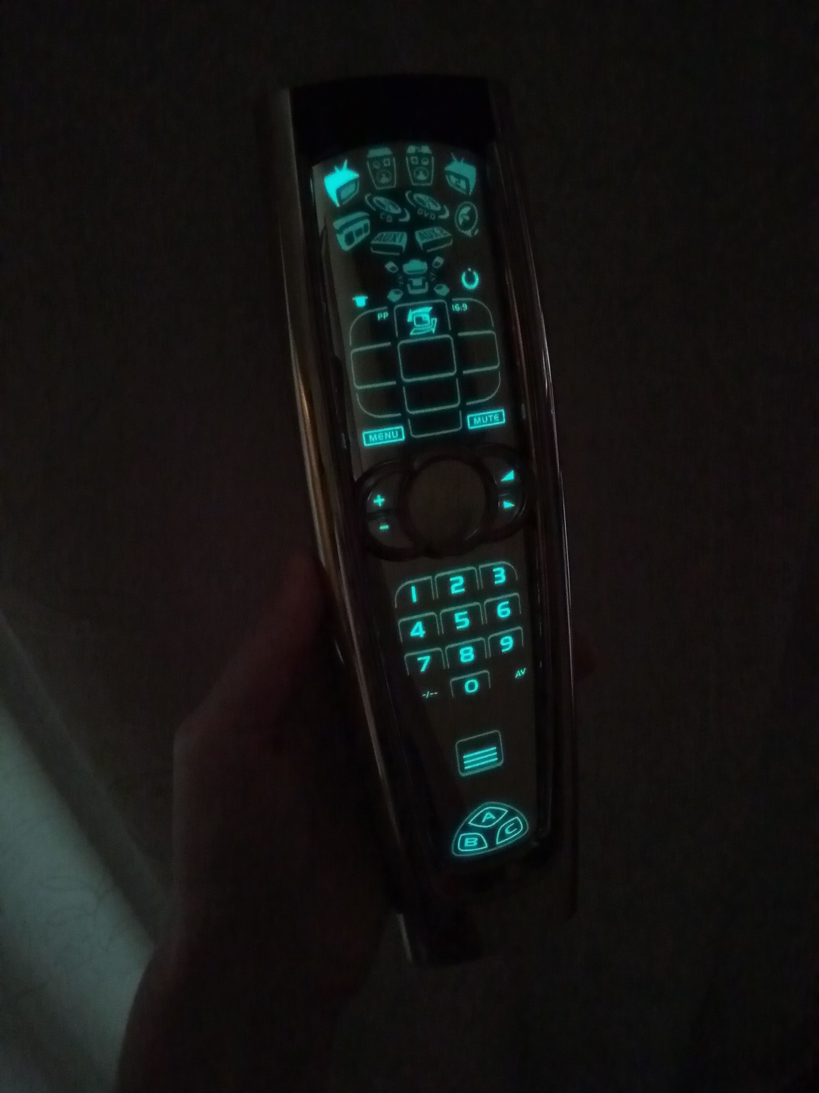 Back to the Future ? ! - My, cat, , Remote controller, Conspiracy, Shaitan, Longpost, Inexplicable