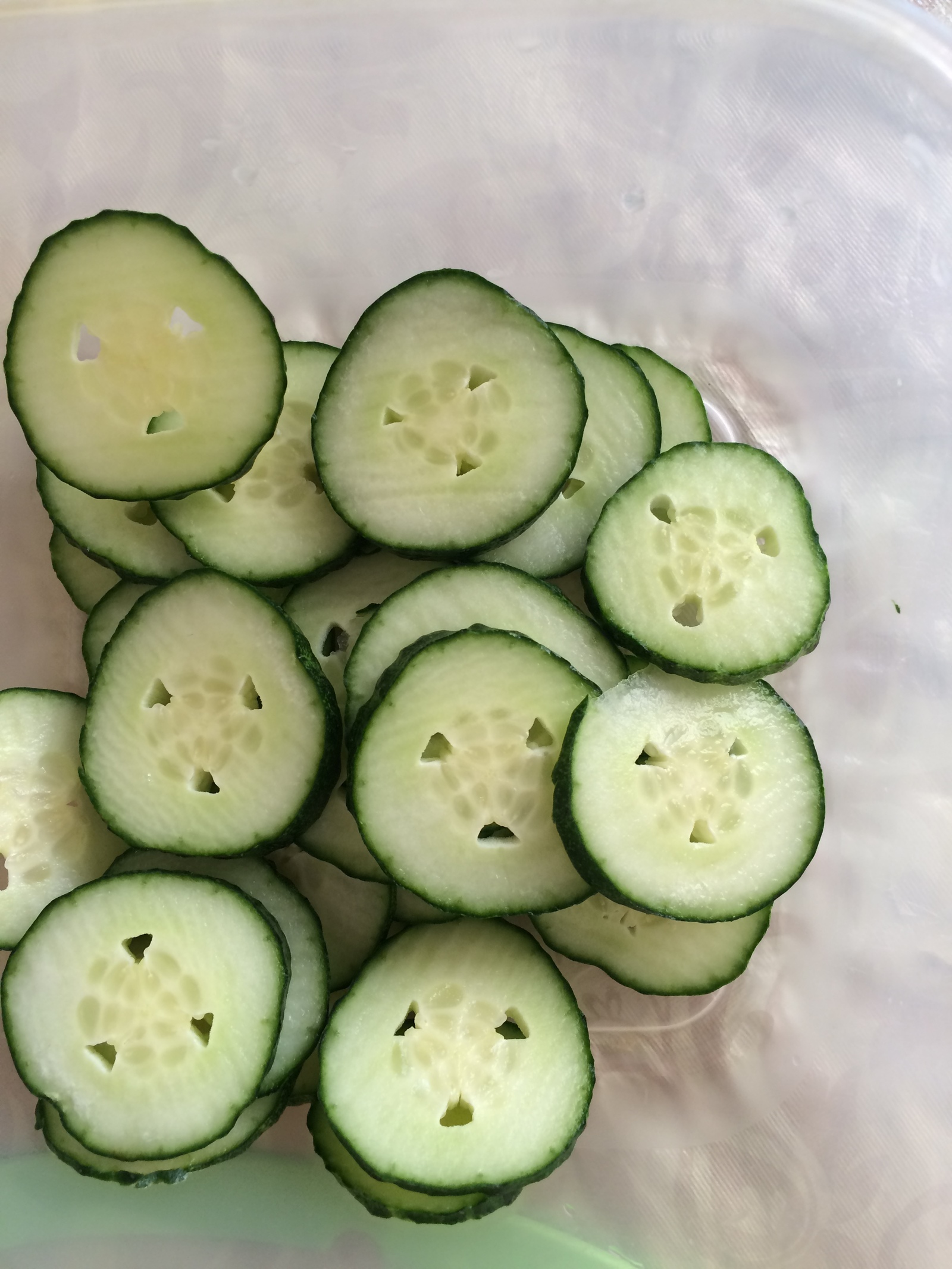 cucumber disappointment - Cucumbers, Betrayal