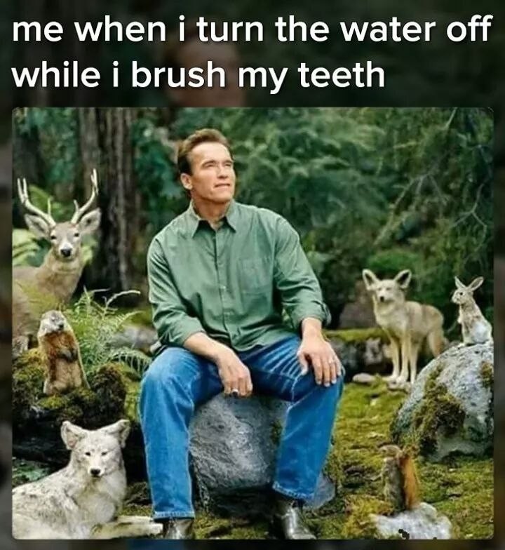 That feeling when you turn off the water while brushing your teeth - Water, Ecology, Saving, Arnold Schwarzenegger, Animals, Teeth cleaning