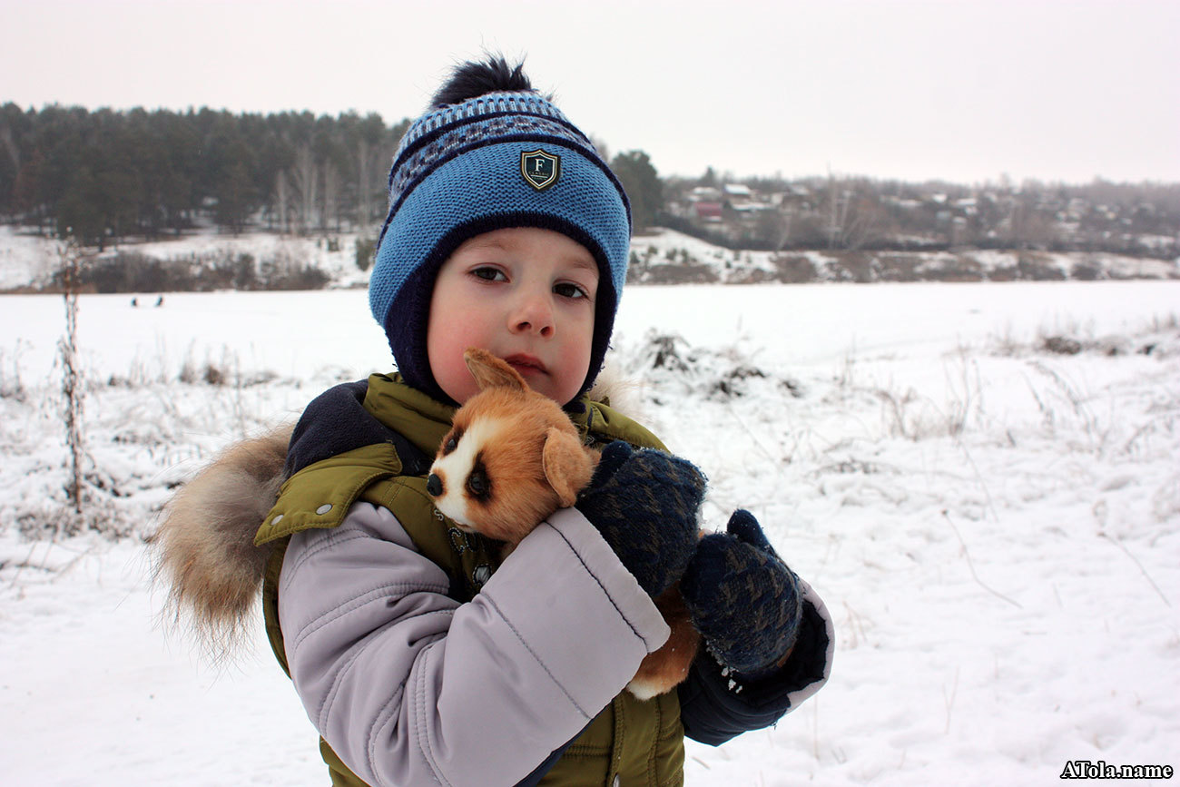 Corgi puppy and winter freshness - My, Corgi, Needlework with process, Author's toy, Toys, Soft toy, , Teddy's friends, Longpost