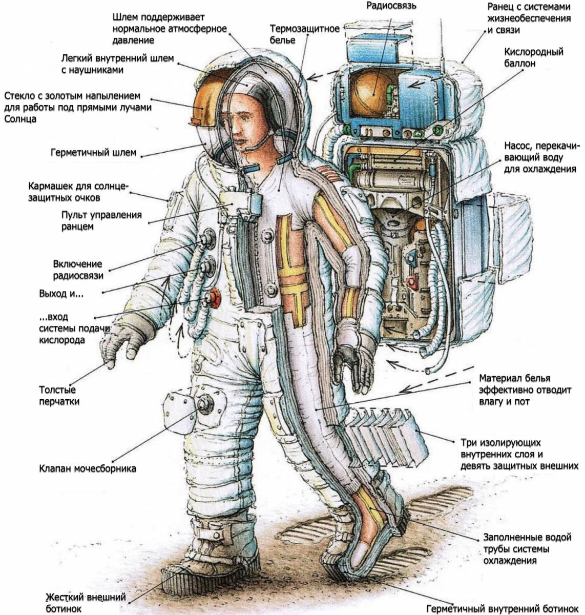Вес скафандра. Скафандр астронавта Аполлона. Костюмы астронавтов Аполлон 11. Скафандр Аполлон 11. Скафандр Беркут конструкция.