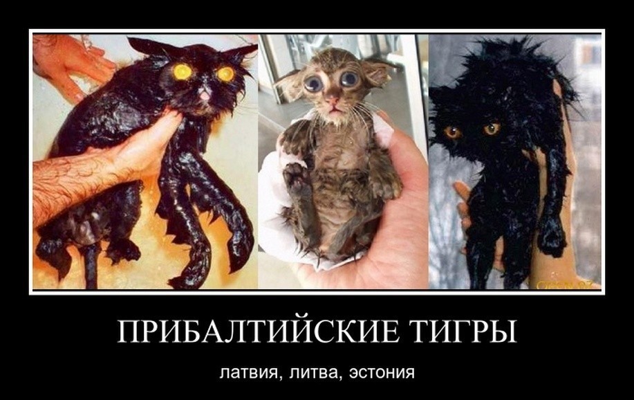https://cs10.pikabu.ru/post_img/big/2018/07/13/2/153144207717611256.jpg