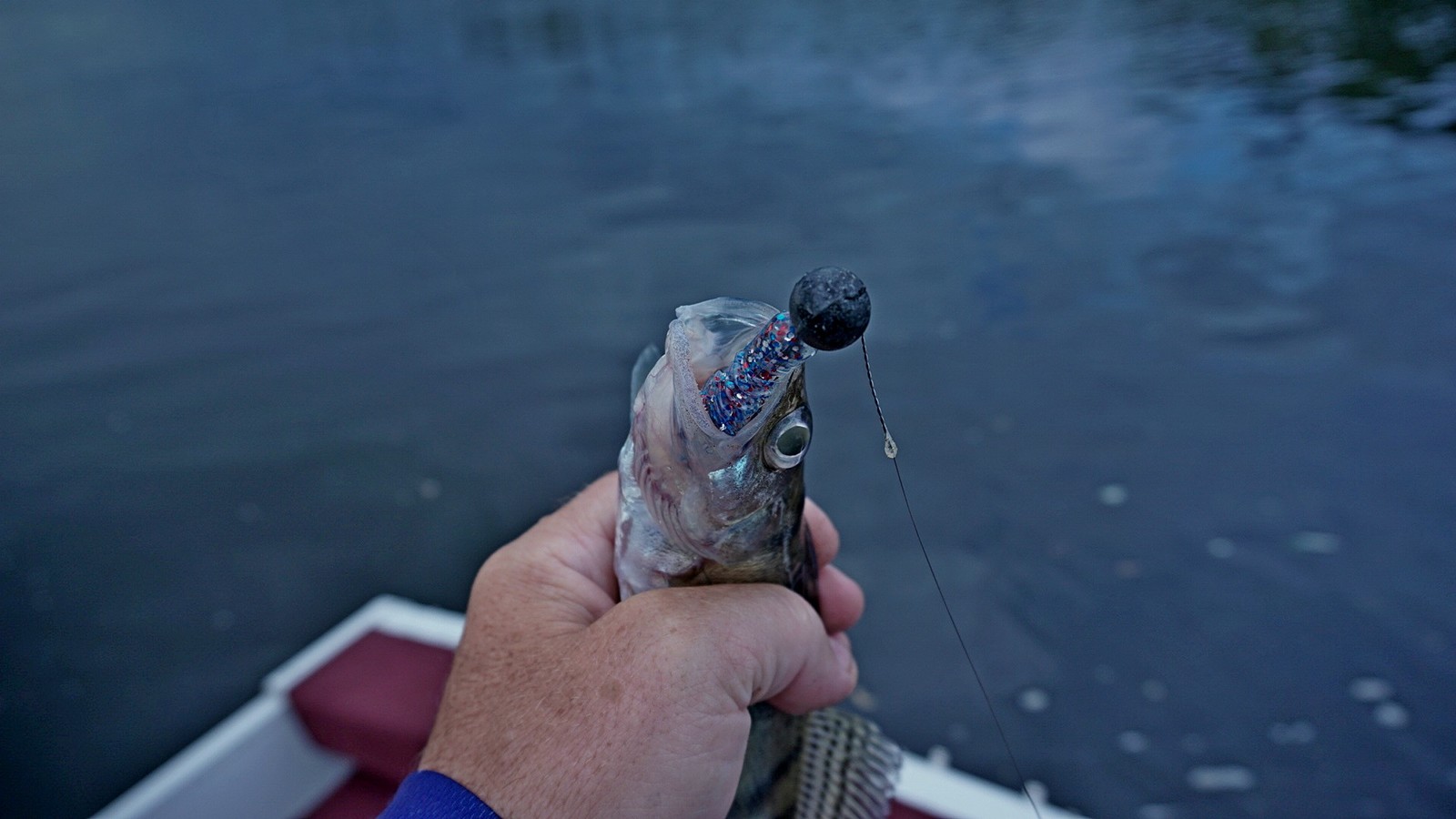 There are days when it is very difficult to catch a fish!!! - My, , , Longpost, Fish perch