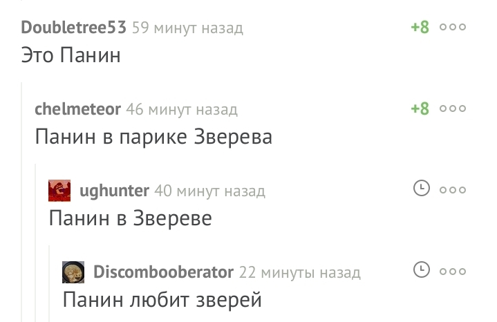 Панин в Звереве, Панин любит зверей - Комментарии, Алексей Панин, Первая леди, Франция, Маскировка