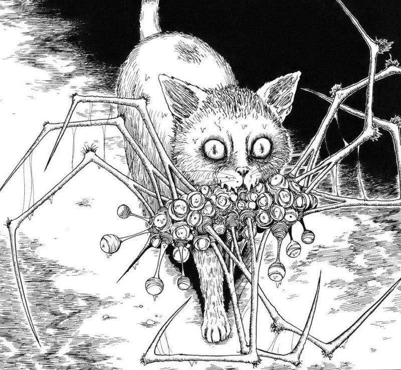 A little biography of Junji Ito - My, Junji Ito, Mangaka, Biography, Longpost