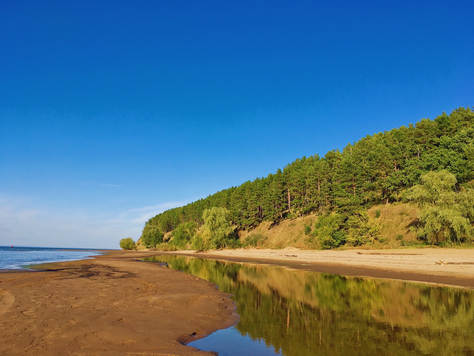 Blue and green - My, Beautiful, Sky, Forest, River, Volga river, Ulyanovsk, The park