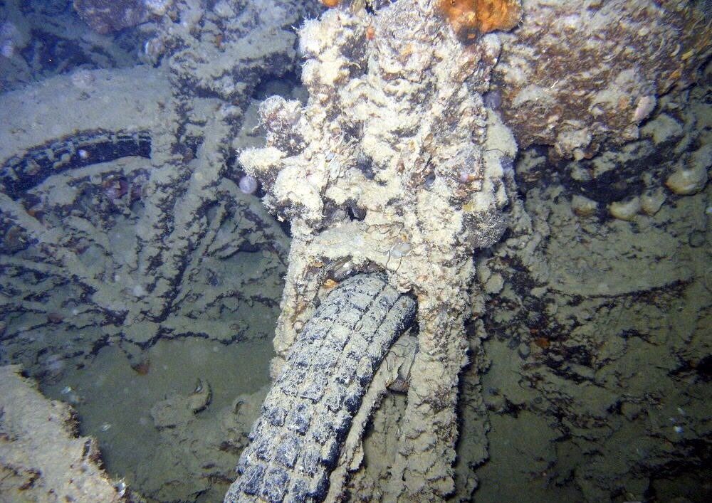 The pearl of the underwater world of the Red Sea - the underwater museum of the Second World War - My, Diving, Red sea, Egypt, Enthusiasm, Vacation, , Sunken ships, Longpost