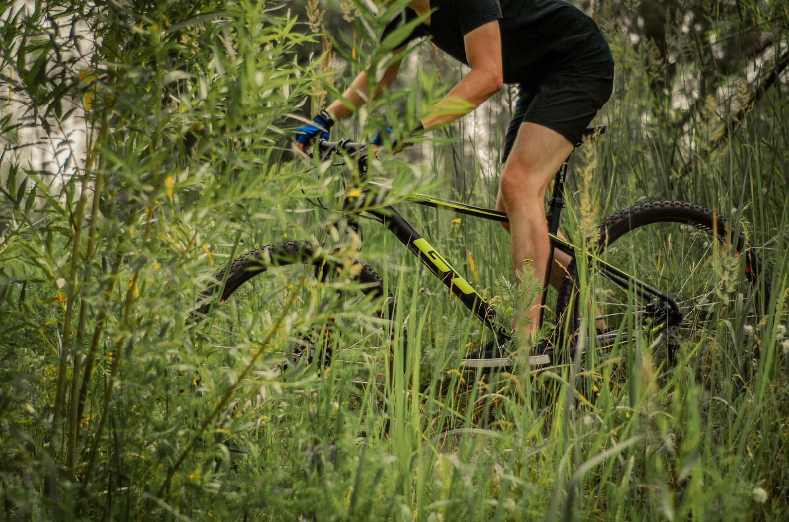 My photos from rides 15.07.2018 - My, A bike, Gt_bike, Karakoram, The photo, Longpost