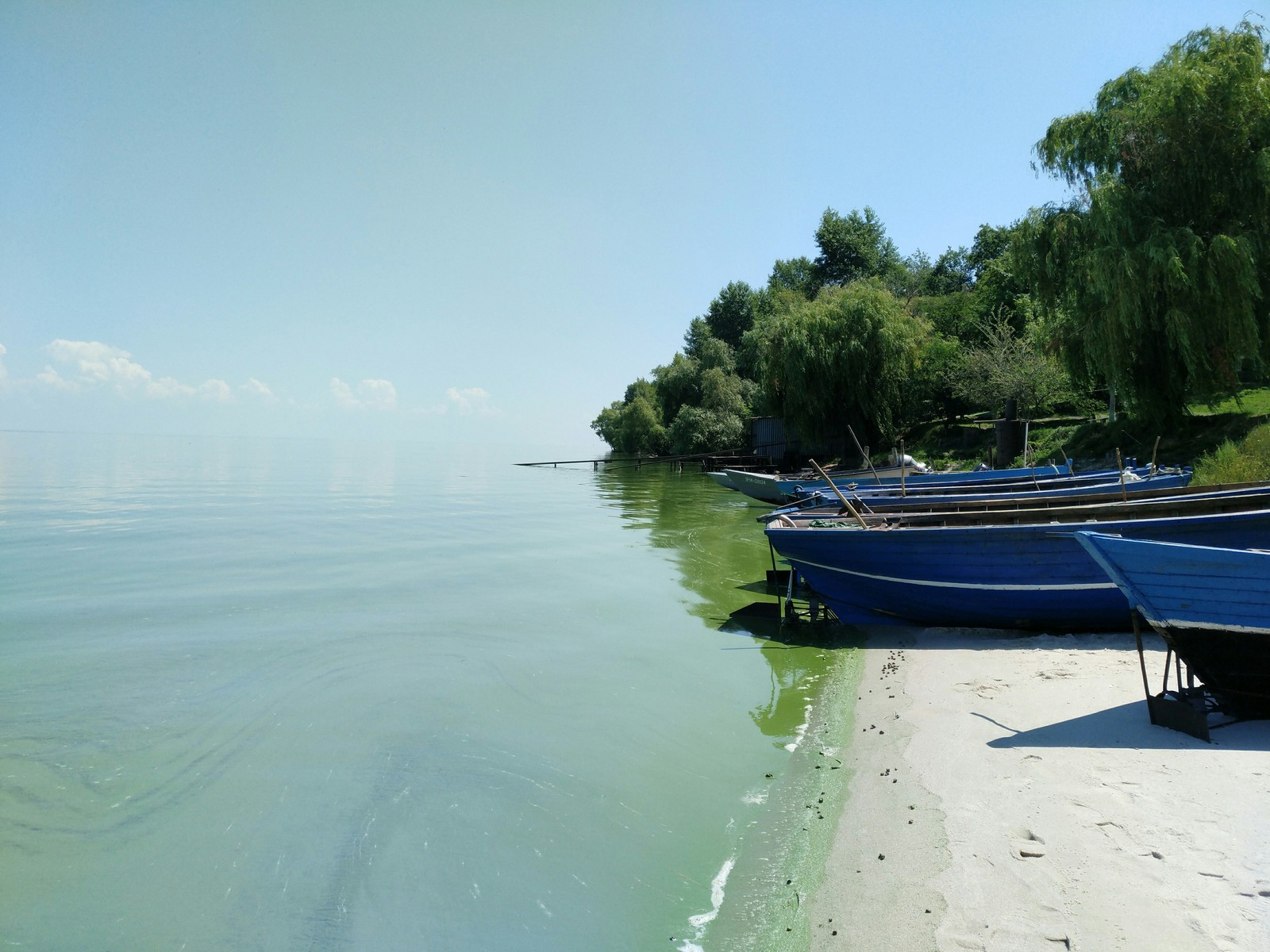 Прекрасный берег Днепра - Моё, Фотография, Природа, Отдых, Днепр, Длиннопост