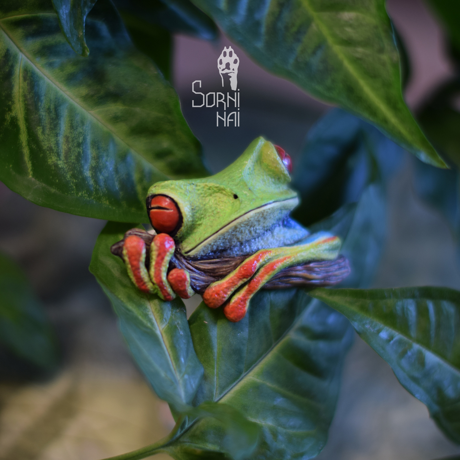 Tree frog - My, Tree frog, Frogs, Polymer clay, Super sculpey, Brooch, Longpost, Supersculpey