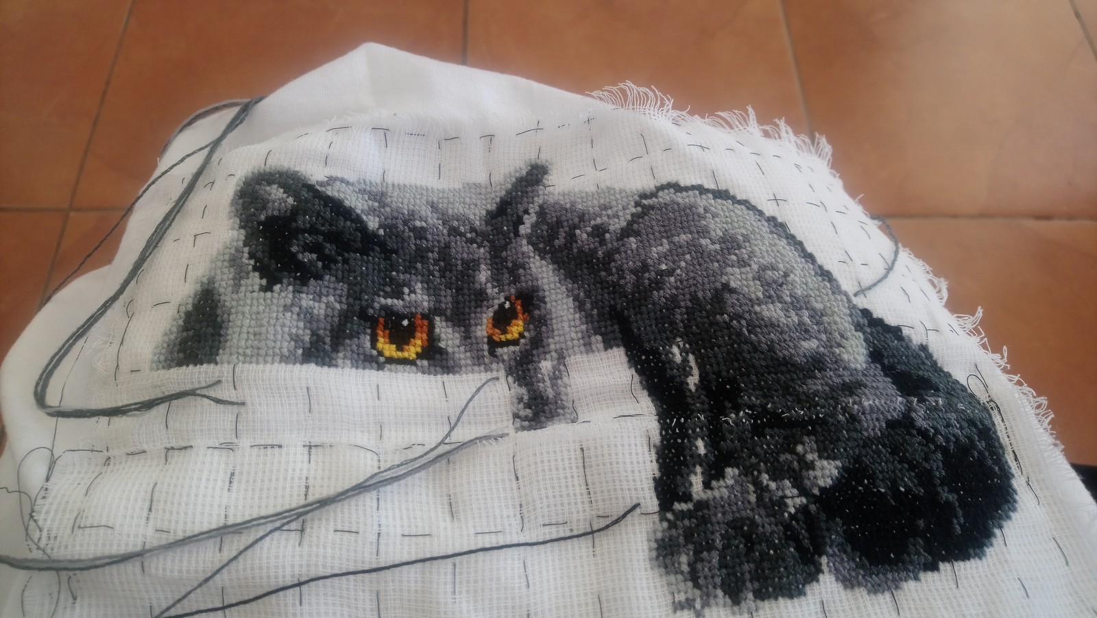 Gift embroidery - My, Cross-stitch, cat, Needlework, Presents, Longpost