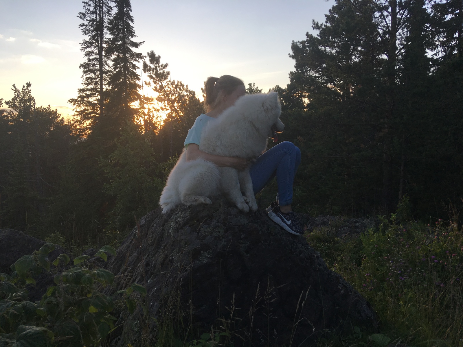 Sunday evening walk. - My, Samoyed, Aussi, Australian shepherd, Dog, Dogs and people, Nature, Evening, Longpost