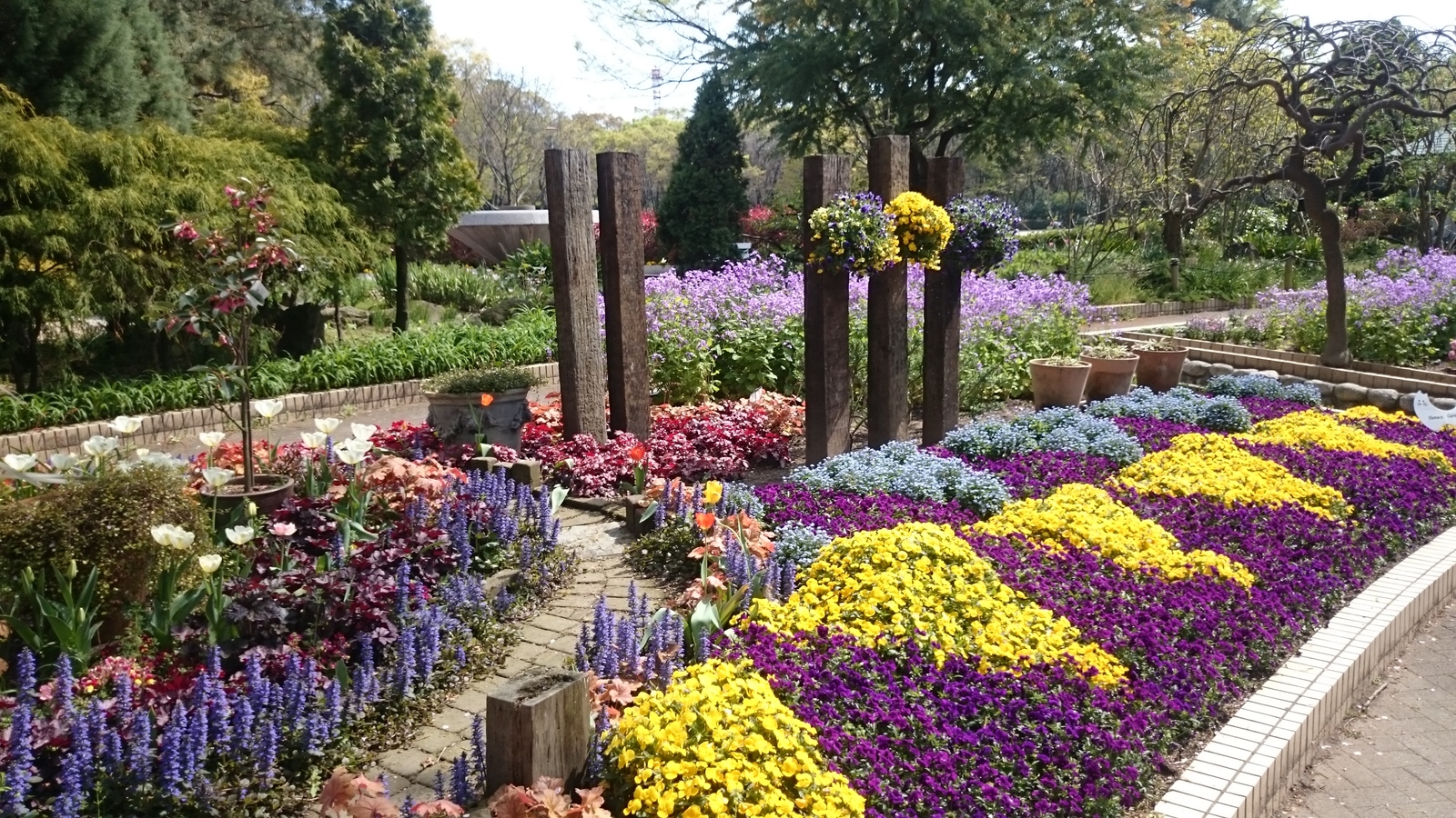 Japanese park. - My, Japan, The park, Nagoya, Nature, Longpost