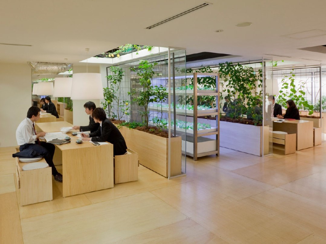 garden office - Ecology, Garden, Ecosphere, Japan, Office, Longpost, Corporations, Landscaping