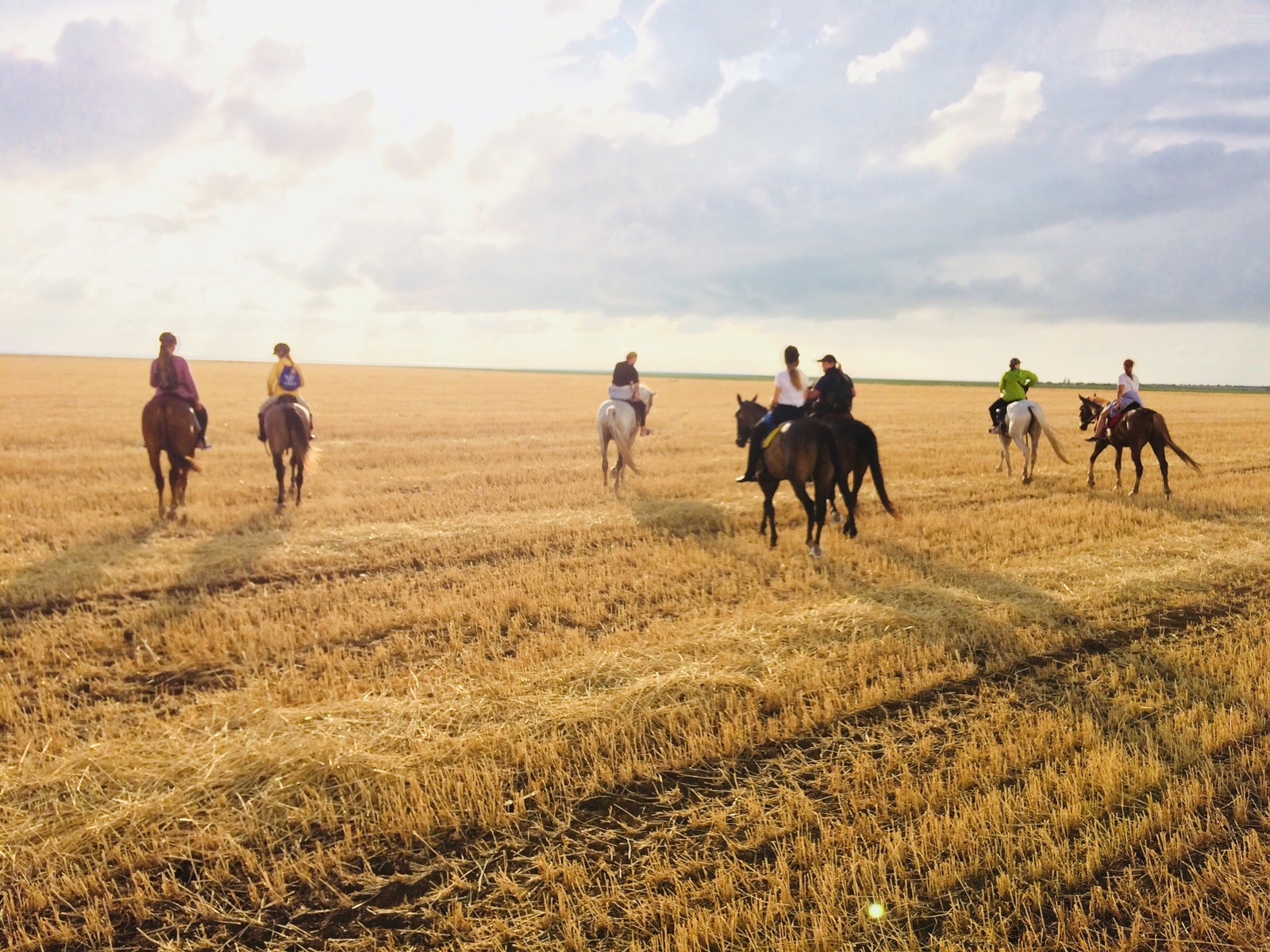 Horseback riding - My, Horses, Hike, Longpost