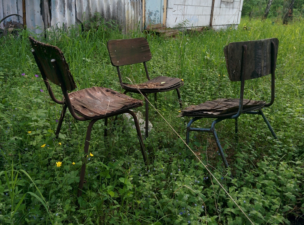 Abandoned pioneer camp Forget-me-not in the Novosibirsk region. - Abandoned, Pioneer camp, Novosibirsk region, Novosibirsk, Longpost