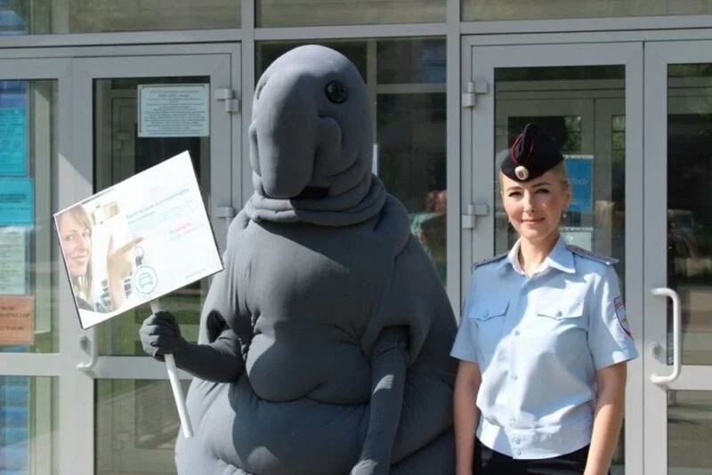 Zhdun was hired to work in the traffic police of the Bryansk region - Zhdun, Traffic police