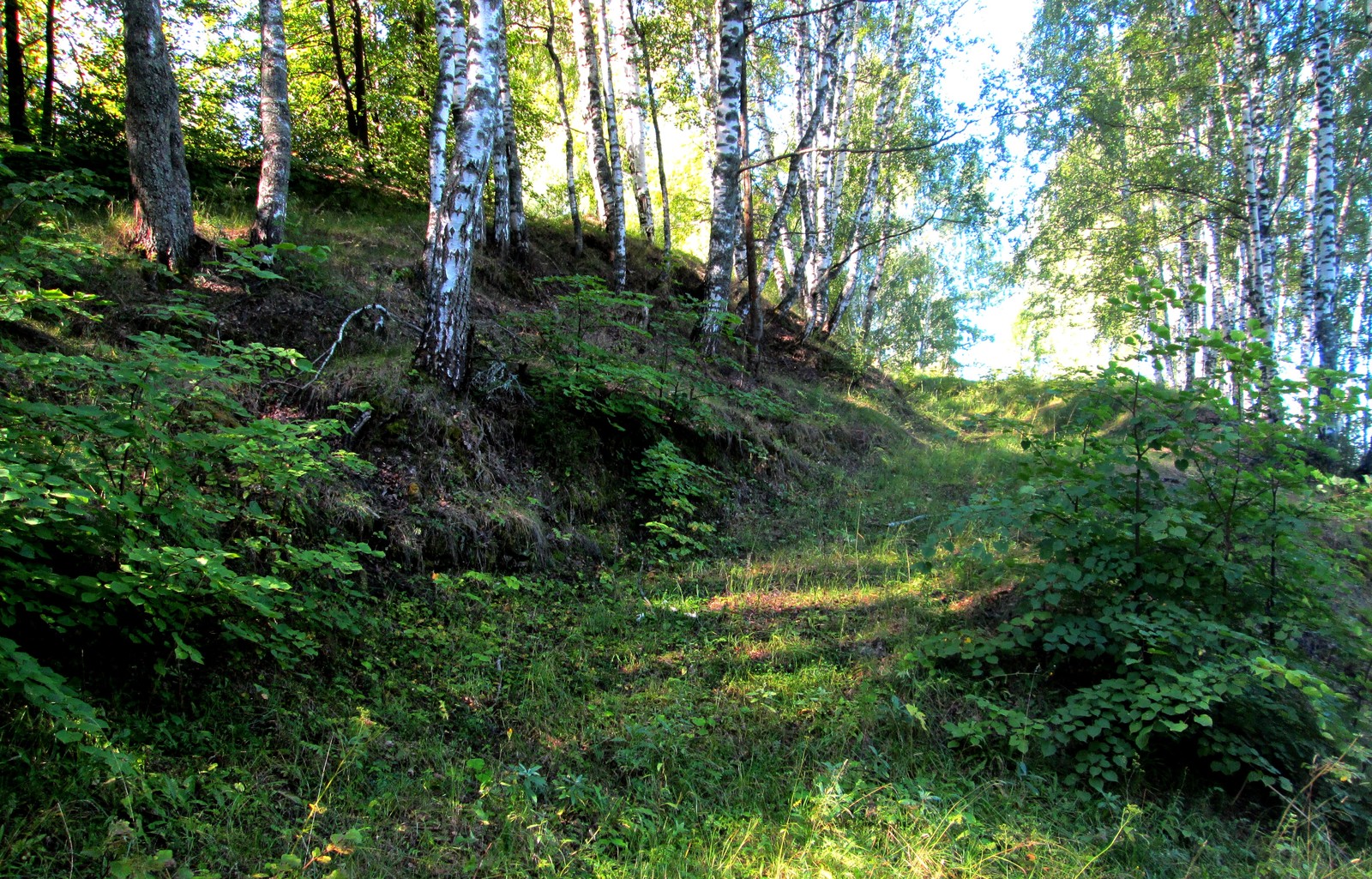 Singing sands of Atar - My, Tourism, Hike, Travels, Kirov region, Vyatka, Longpost, Nature