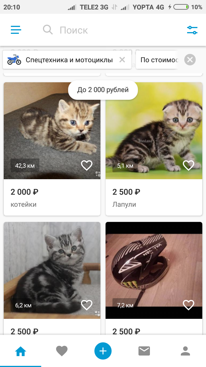 Kittens. - My, Kittens, Motorcycles, Inexplicable, Longpost, cat, Sale, Yula, Screenshot, Moto