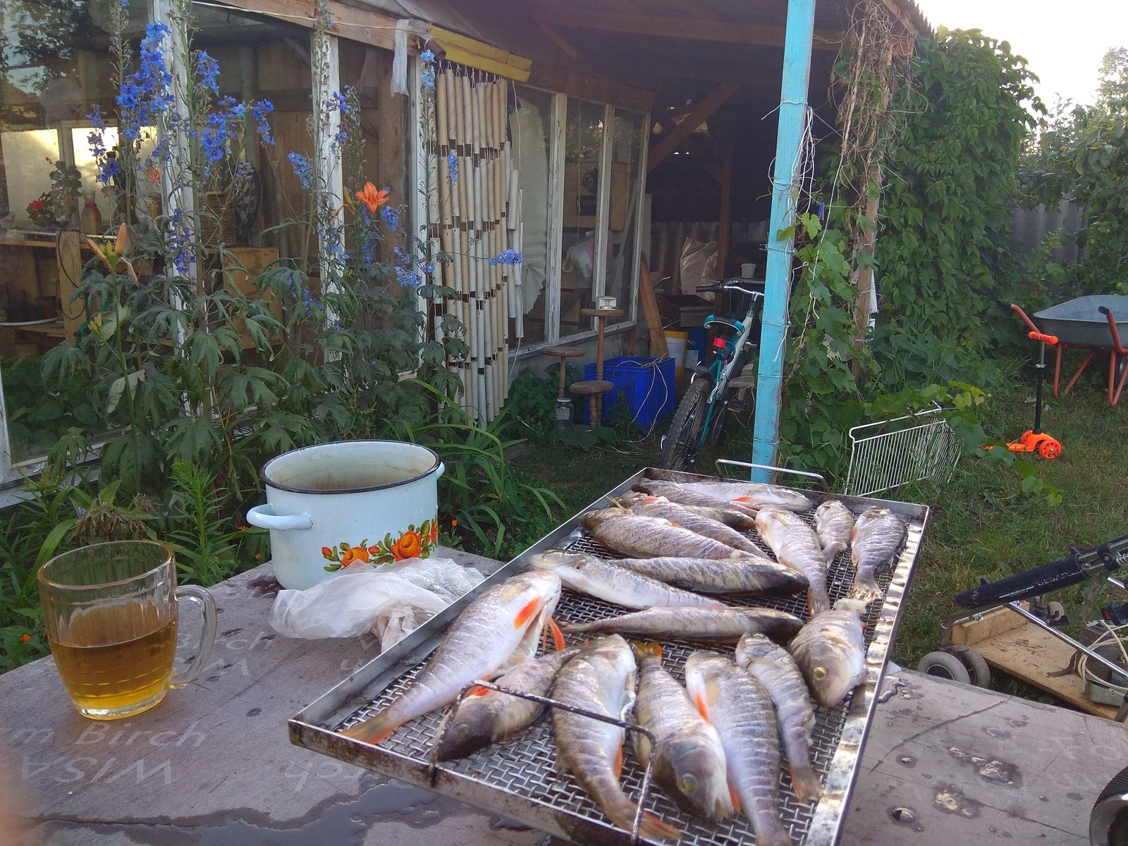 Fishing was a success, smoked perch is awesome =) - My, Cooking, Hot smoking, Bloater, Longpost