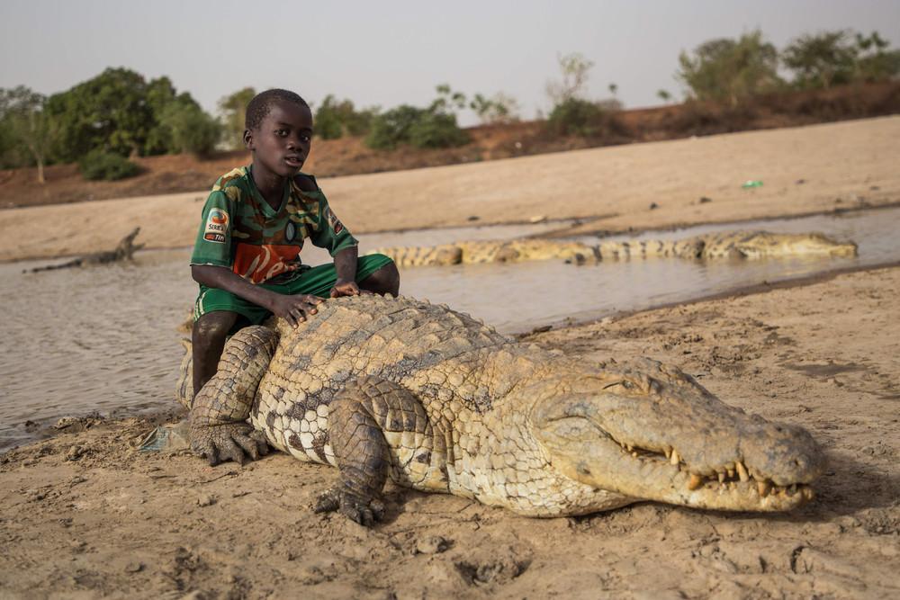 Africa through the eyes of photojournalists - Africa, The photo, Press photographer, Longpost