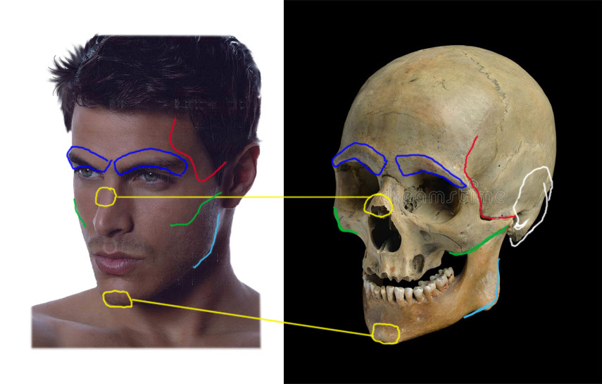 Face drawing. - Drawing, Face, Person, Longpost