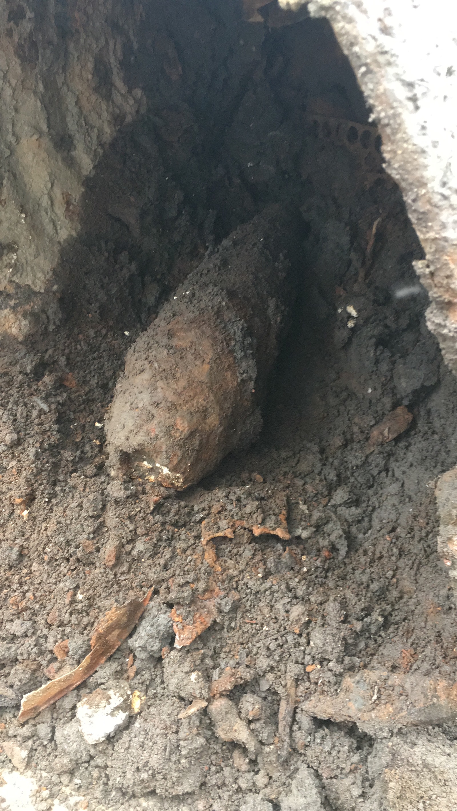 The speed of the operational services in the city of Novosibirsk, or how I found a shell in the yard. - My, Novosibirsk, Ministry of Emergency Situations, , Longpost, Projectile