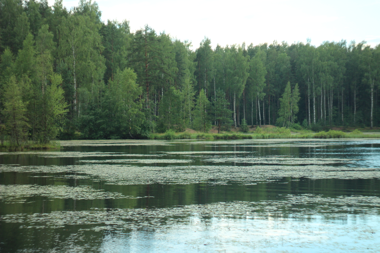 Крепость Орешек | Пикабу